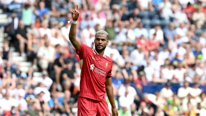 Cody Gakpo Perpanjang Kontrak di Liverpool